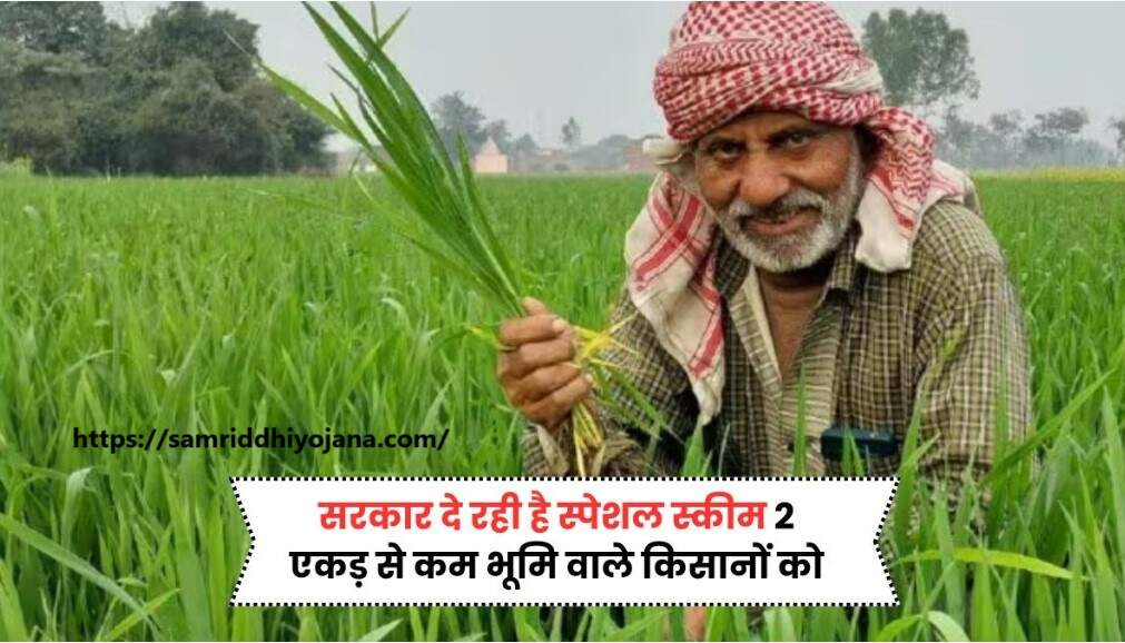 Small Farmers Scheme 2025